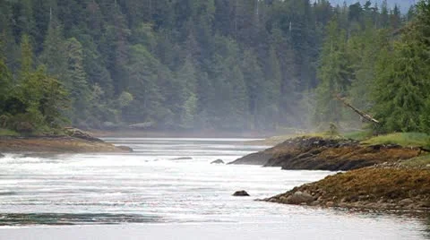 The other side of Butze rapids Stock Footage 10744586