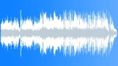 The Other Side of Happiness 1mn version Stock Music