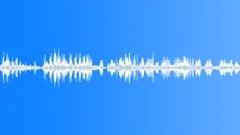 Otherworld Jungle Sound Effect