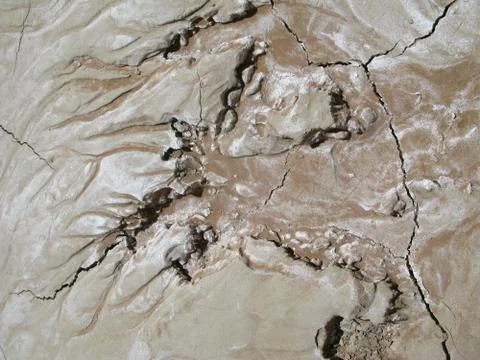 Otherworldly Dried Mud Stock-Fotos