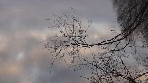 Отражение Stock Footage 118508733