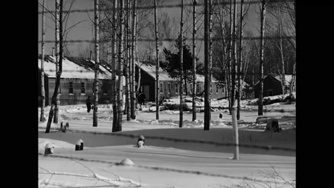 OTTAWA - 1939 - Increasing close-ups of barbed wire fencing at wintry Camp Vidéo 316408054