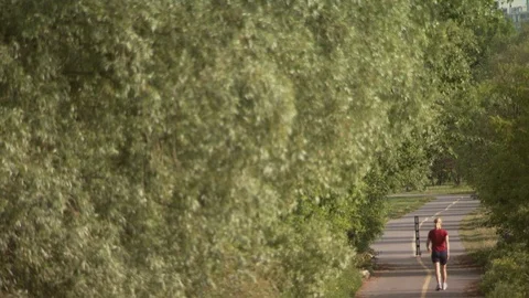 Ottawa, Canada Stock Footage 123925654