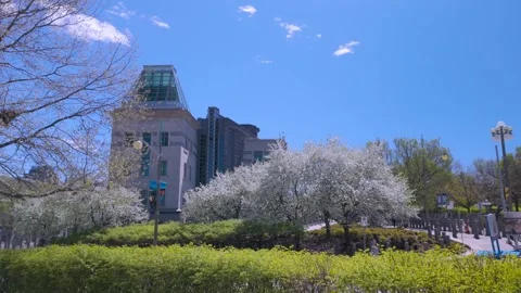 Ottawa, Canada - May 9, 2024: Embassy of USA in Ottawa Canada Stock Footage 274878434