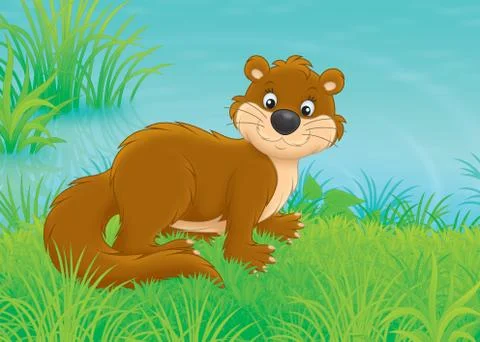 Otter Stock Illustration