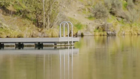 Otter playing on a dock Stock Footage 285409993