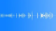 OTTERSound Effect