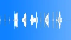 OTTERSound Effect