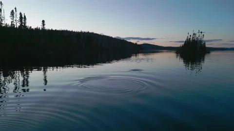 Otter_02 Video stock 245369189