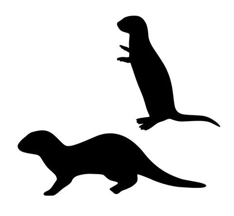 Otters silhouette in different poses, vector illustrations isolated on white. Stock Illustration