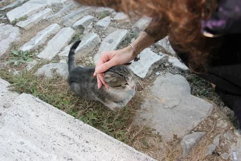 Ottoman Architecture Stock Photos