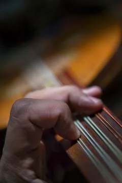 Oud player Stock Photos