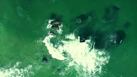 OUDE 11 스톡 동영상 171472417