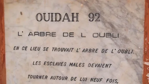 Ouidah "Tree of oblivion"  stone Stock Footage 81110643