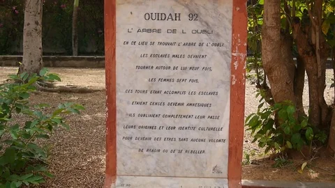 Ouidah "Tree of oblivion"  stone Video stock 81110672