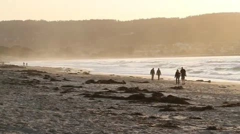 Ouples walk on beach at sunset Stock Footage 21541715