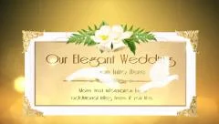 Our Elegant Wedding Memories Stock After Effects