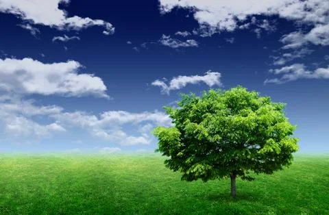 Our Planet Stock Illustration