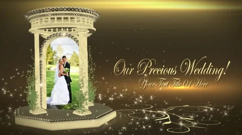 Our Precious Wedding Montage Stock After Effects