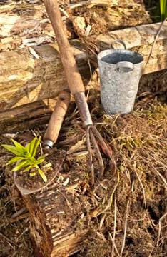 Our Rustic Garden Stock Photos