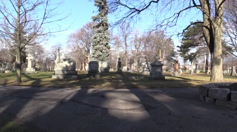 Our Sleeping Dead Stock Footage 58445190