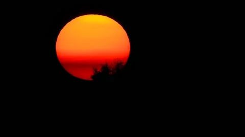 Our sun Stock Footage 54083964