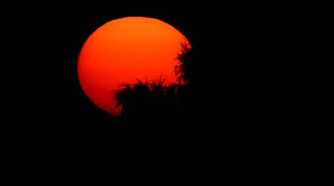 Our sun Stock Footage 54084081