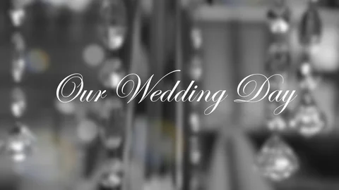 Our Wedding Day Stock Footage 87308313