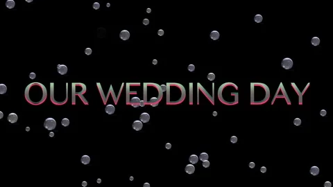 Our Wedding Day Stock Footage 87539169