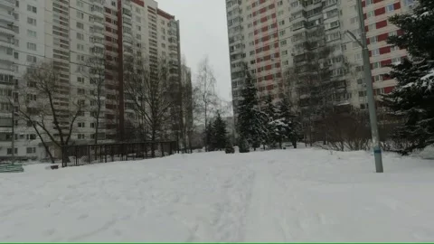 Our yard in winter 스톡 동영상 148658334