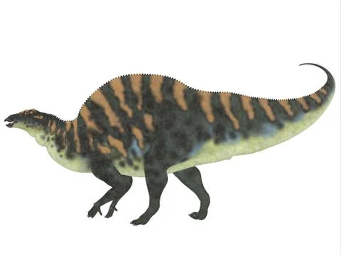 Ouranosaurus Side Profile Stock Illustration