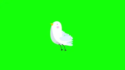 Ousel bird white flight stop greenbox Stock Footage 320016796