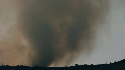 An out of control field forest burning bellowing smoke into the air and destroy Stock Footage 278805886