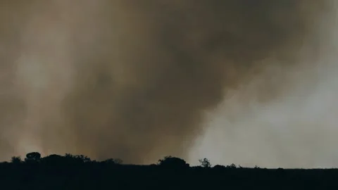 An out of control field forest burning bellowing smoke into the air and destroy Stock Footage 278805939
