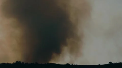 An out of control field forest burning bellowing smoke into the air and destroy Stock Footage 278805942