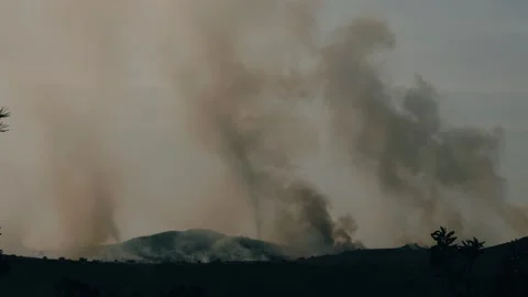 An out of control field forest burning bellowing smoke into the air and destroy Stock Footage 278806107