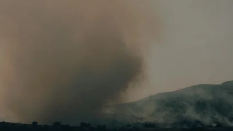 An out of control field forest burning bellowing smoke into the air and destroy Stock Footage 278806158