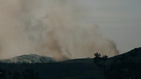 An out of control field forest burning bellowing smoke into the air and destroy Stock Footage 278806162