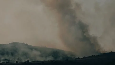 An out of control field forest burning bellowing smoke into the air and destroy Stock Footage 278806170