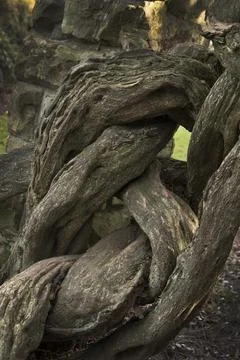 Out of control Stock-Fotos