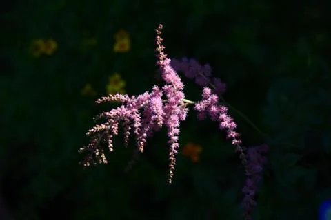 Out of the dark 스톡 사진