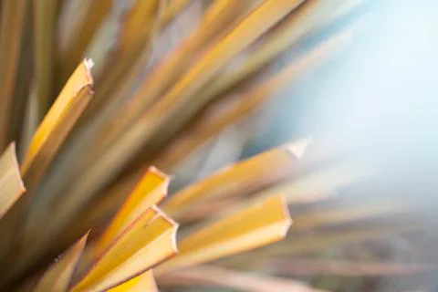 Out of focus background Stock Photos