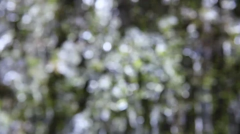 Out of Focus Bokeh of Wall of Moss with Frozen Icicles Background 1920x1080 Stock Footage 45444870