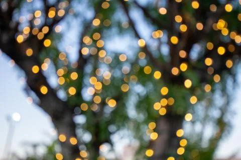 Out of Focus Christmas Lights on a Small Tree Stock Photos