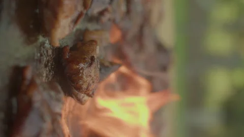 An out-of-focus close-up of meat being grilled on a summer barbecue grill Stock Footage 249174987