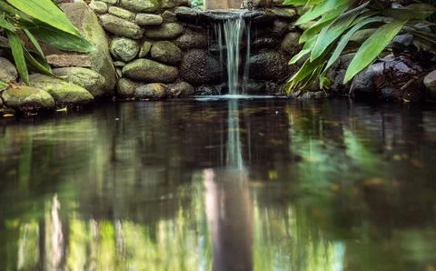 Out-of-focus close-up of a pond Stock Photos