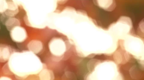 Out of Focus Fall Leaves Stock Footage 44432356