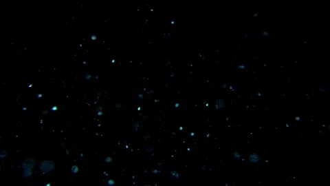 Out of focus glitter light Stock Footage 75395849