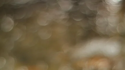 Out of focus pattern of a a small creek Stock Footage 86739929