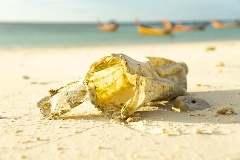Out of focus plastic on the sand That take many years to decompose Show the p Stock Photos